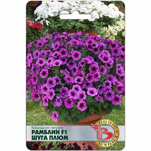 Петуния Рамблин Шуга Плюм F1 Биотехника изображение 1 артикул 84664