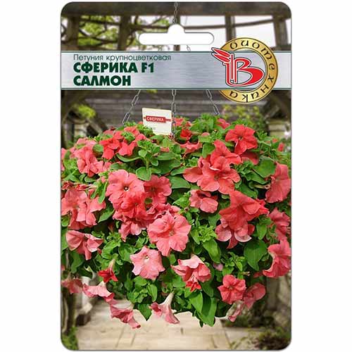 Петуния Сферика Салмон Морн F1 Биотехника изображение 1 артикул 84671