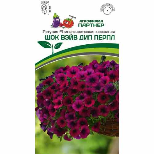 Петуния многоцветковая каскадная Шок Вэйв Дип Перпл F1 Партнер изображение 1 артикул 84820