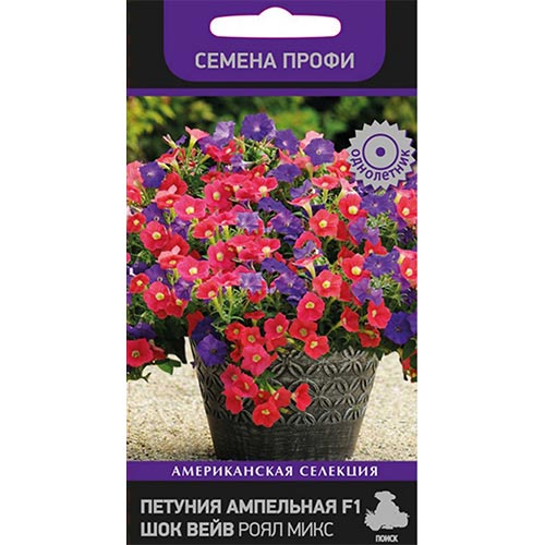 Петуния Шок Вейв Роял F1, смесь окрасок Поиск изображение 1 артикул 93089