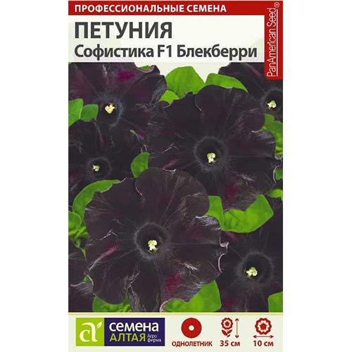 Петуния Софистика Блекберри F1 Семена Алтая изображение 1 артикул 81769