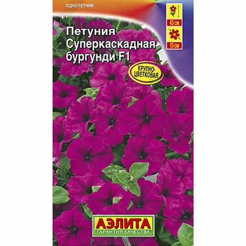 Петуния Суперкаскадная бургунди F1 Аэлита артикул фото 1 Петуния Суперкаскадная бургунди F1 Аэлита изображение 1 артикул 99125