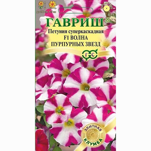 Петуния (минитуния) суперкаскадная Волна Пурпурных звезд F1 Гавриш изображение 1 артикул 73884