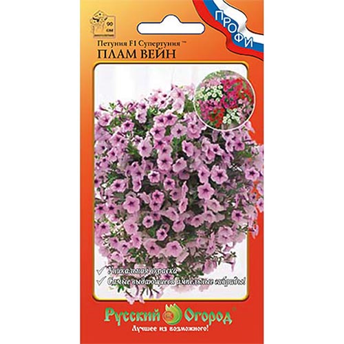 Петуния Супертуния Плам Вейн F1 НК изображение 1 артикул 92608