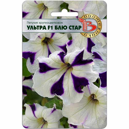Петуния Ультра Блю Стар F1 Биотехника артикул фото 1 Петуния Ультра Блю Стар F1 Биотехника изображение 1 артикул 84677