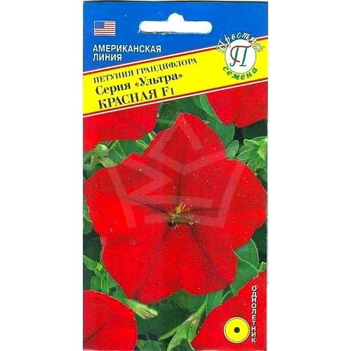 Петуния Ультра красная F1 Престиж артикул фото 1 Петуния Ультра красная F1 Престиж изображение 1 артикул 81384
