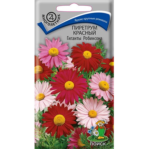 Пиретрум Гиганты Робинсона Поиск изображение 1 артикул 93090