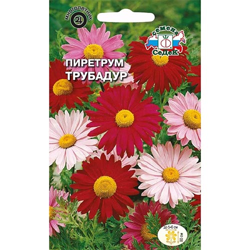 Пиретрум Трубадур, смесь окрасок Седек изображение 1 артикул 93944