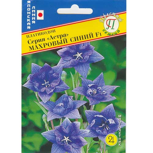 Платикодон Астра Махровый синий F1 Престиж изображение 1 артикул 81399