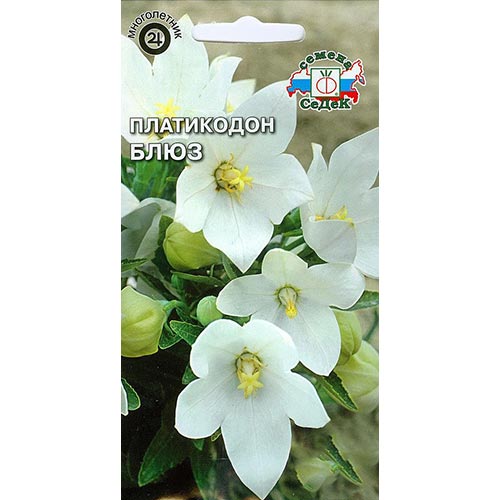 Платикодон Блюз Седек изображение 1 артикул 93945