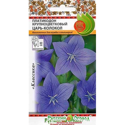 Платикодон Царь-Колокол НК изображение 1 артикул 92612