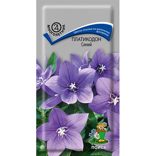 Платикодон Синий Поиск изображение 1 артикул 93091