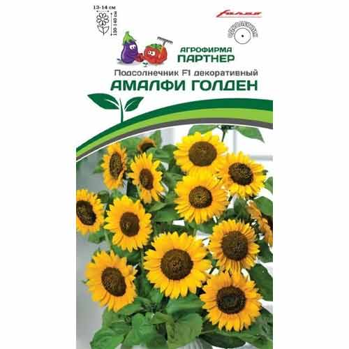 Подсолнечник декоративный Амалфи Голден F1 Партнер изображение 1 артикул 92695