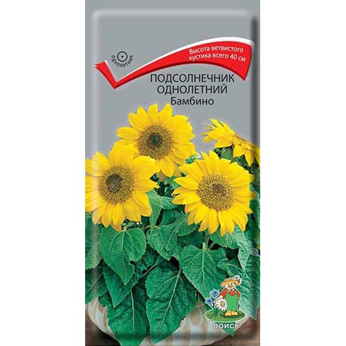 Подсолнечник декоративный Бамбино Поиск изображение 1 артикул 93092