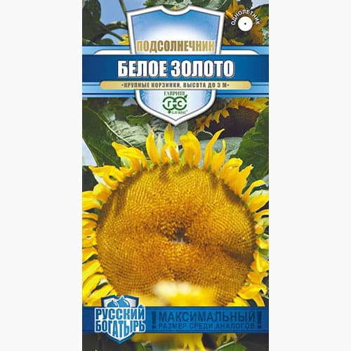 Подсолнечник декоративный Белое золото Гавриш изображение 1 артикул 97800