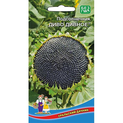 Подсолнечник декоративный Диво дивно Уральский дачник изображение 1 артикул 94839