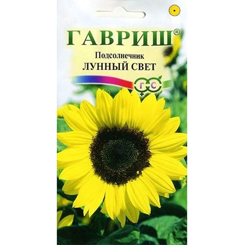 Подсолнечник декоративный Лунный свет Гавриш изображение 1 артикул 92197