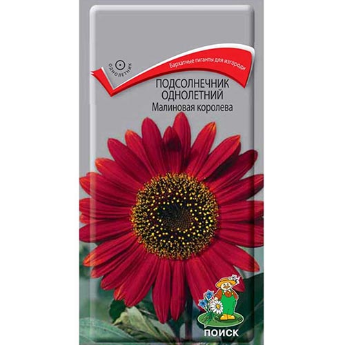 Подсолнечник декоративный Малиновая Королева Поиск изображение 1 артикул 93095