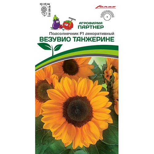 Подсолнечник декоративный Везувио Танжерине F1 Партнер изображение 1 артикул 92696
