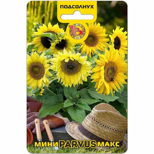 Подсолнух Мини-Макс Парвус Биотехника артикул фото 1 Подсолнух Мини-Макс Парвус Биотехника изображение 1 артикул 40414