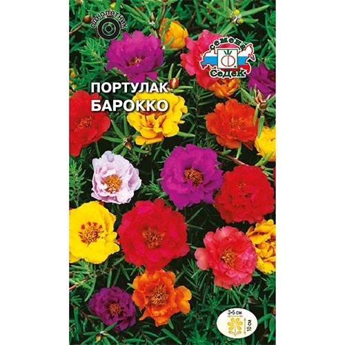 Портулак Барокко, смесь окрасок Седек изображение 1 артикул 93952