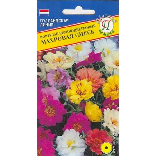 Портулак махровый крупноцветковый, смесь окрасок Престиж артикул фото 1 Портулак махровый крупноцветковый, смесь окрасок Престиж изображение 1 артикул 71562