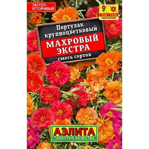 Портулак махровый Экстра, смесь окрасок Аэлита изображение 1 артикул 40401