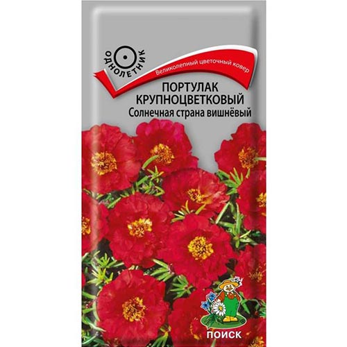 Портулак Солнечная страна вишневый Поиск изображение 1 артикул 93099