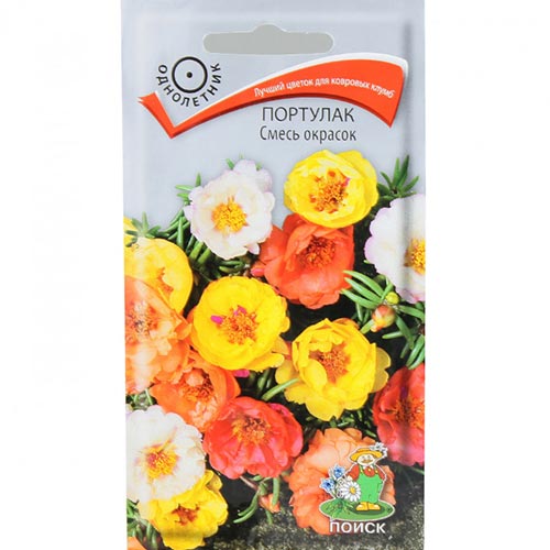 Портулак Спартак, смесь окрасок Поиск изображение 1 артикул 93103