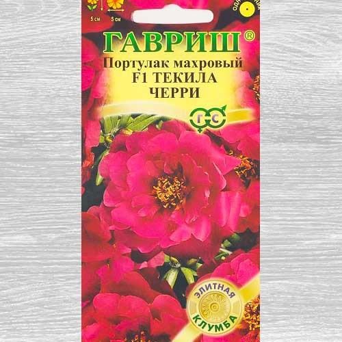 Портулак Текила Черри F1 Гавриш артикул фото 1 Портулак Текила Черри F1 Гавриш изображение 1 артикул 82425