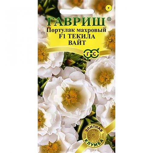 Портулак Текила Вайт F1 Гавриш изображение 1 артикул 92202