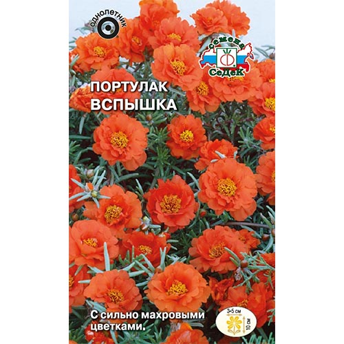 Портулак Вспышка Седек изображение 1 артикул 93953