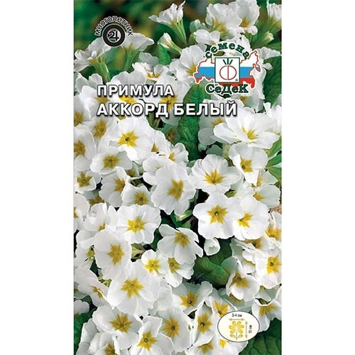 Примула Аккорд белый Седек изображение 1 артикул 93954