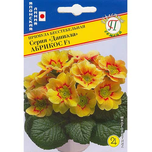Примула Даниела абрикос F1 Престиж артикул фото 1 Примула Даниела абрикос F1 Престиж изображение 1 артикул 71563