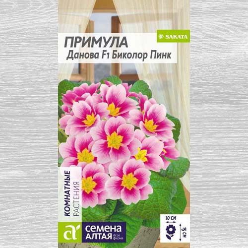 Примула Данова Биколор Пинк F1 артикул фото 1 Примула Данова Биколор Пинк F1 изображение 1 артикул 78291