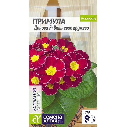 Примула Данова Вишневое кружево F1 Семена Алтая артикул фото 1 Примула Данова Вишневое кружево F1 Семена Алтая изображение 1 артикул 78232