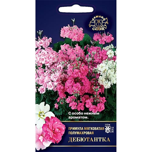 Примула Дебютантка F1, смесь окрасок Седек изображение 1 артикул 93956