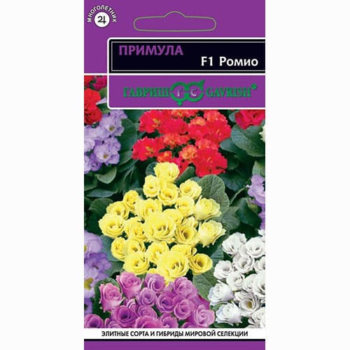 Примула махровая Ромио розовая F1 Гавриш артикул фото 1 Примула махровая Ромио розовая F1 Гавриш изображение 1 артикул 73748