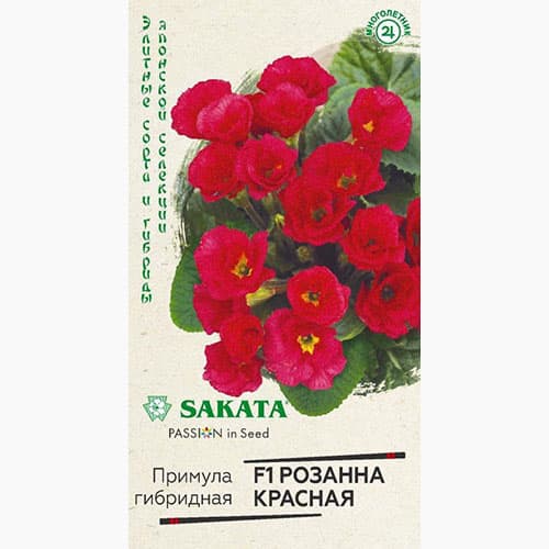 Примула махровая Розанна красная F1 Гавриш артикул фото 1 Примула махровая Розанна красная F1 Гавриш изображение 1 артикул 97814