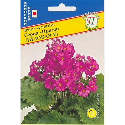Примула Прима лиловая F1 Престиж артикул фото 1 Примула Прима лиловая F1 Престиж изображение 1 артикул 71574