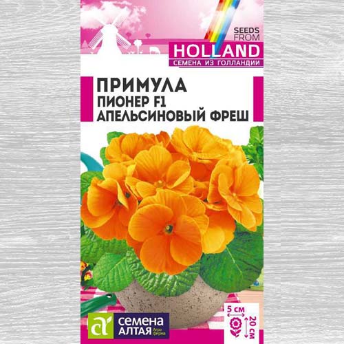 Примула Пионер Апельсиновый фреш F1 артикул фото 1 Примула Пионер Апельсиновый фреш F1 изображение 1 артикул 78311