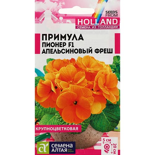Примула Пионер Апельсиновый Фреш Семена Алтая изображение 1 артикул 94210