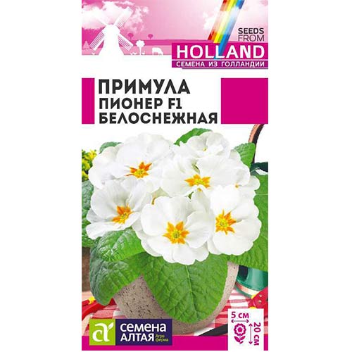 Примула Пионер Белоснежная F1 Семена Алтая артикул фото 1 Примула Пионер Белоснежная F1 Семена Алтая изображение 1 артикул 78312