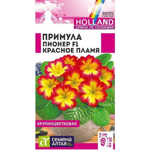 Примула Пионер Красное пламя F1 Семена Алтая артикул фото 1 Примула Пионер Красное пламя F1 Семена Алтая изображение 1 артикул 78314