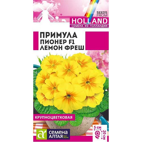 Примула Пионер Лемон фреш F1 Семена Алтая артикул фото 1 Примула Пионер Лемон фреш F1 Семена Алтая изображение 1 артикул 78315