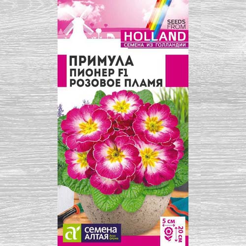 Примула Пионер Розовое пламя F1 артикул фото 1 Примула Пионер Розовое пламя F1 изображение 1 артикул 78316