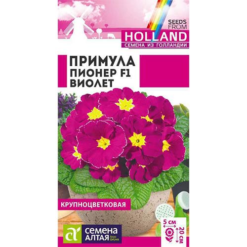 Примула Пионер Виолет F1 Семена Алтая артикул фото 1 Примула Пионер Виолет F1 Семена Алтая изображение 1 артикул 78313