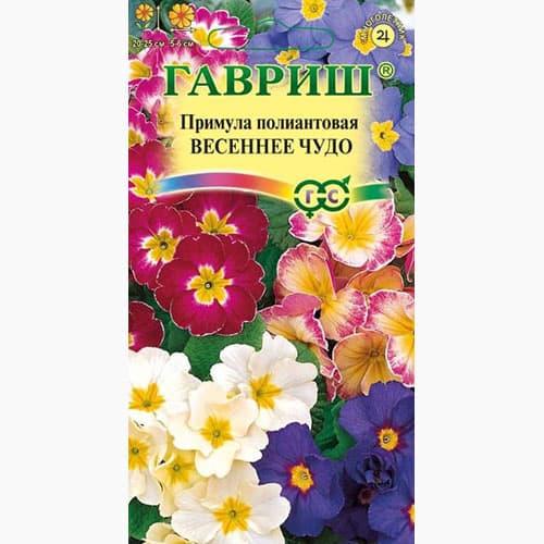 Примула полиантовая Весеннее чудо Гавриш изображение 1 артикул 97802