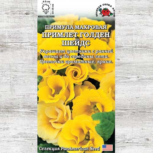 Примула Примлет Голден Шейдс изображение 1 артикул 83708