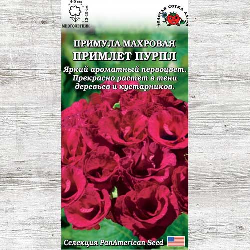 Примула Примлет Пурпл изображение 1 артикул 83709